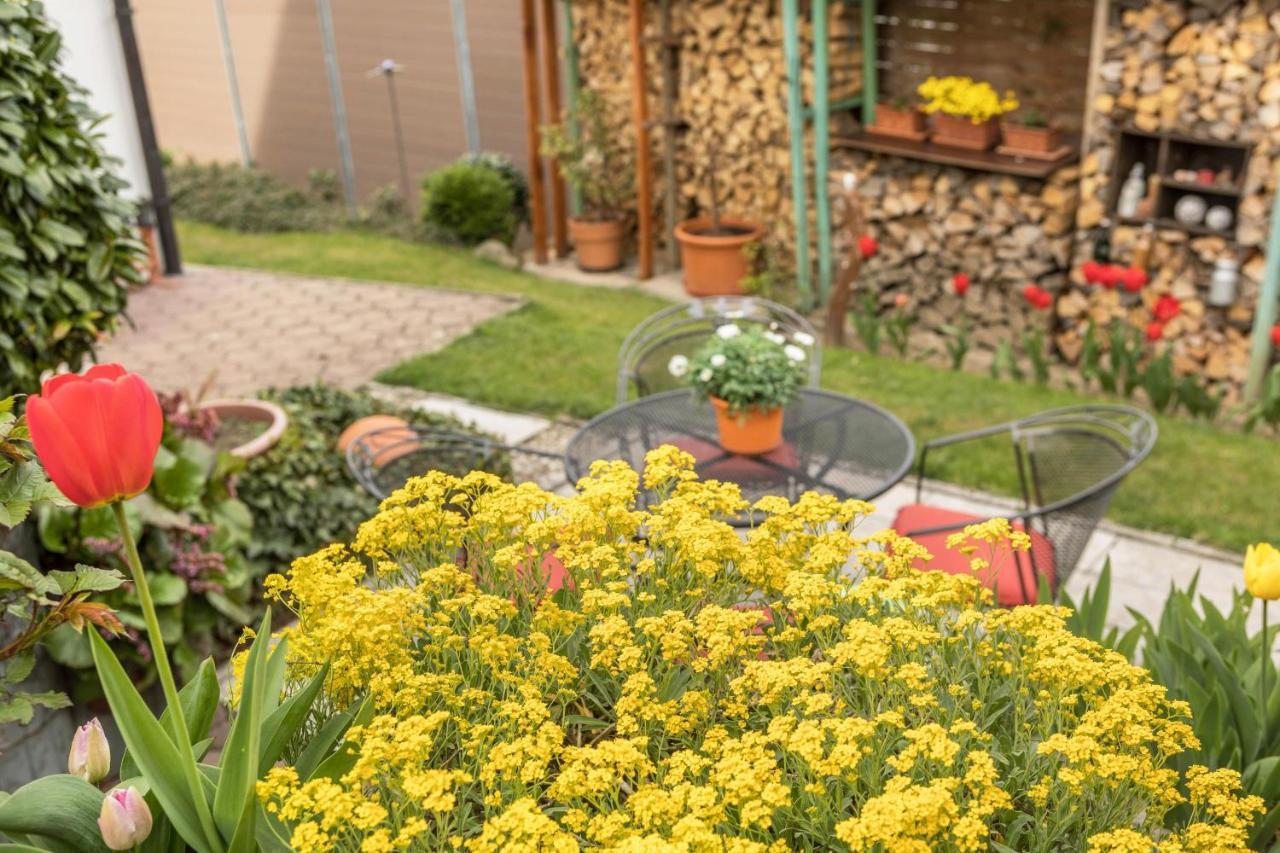 Haus Schneider Διαμέρισμα Kressbronn am Bodensee Εξωτερικό φωτογραφία