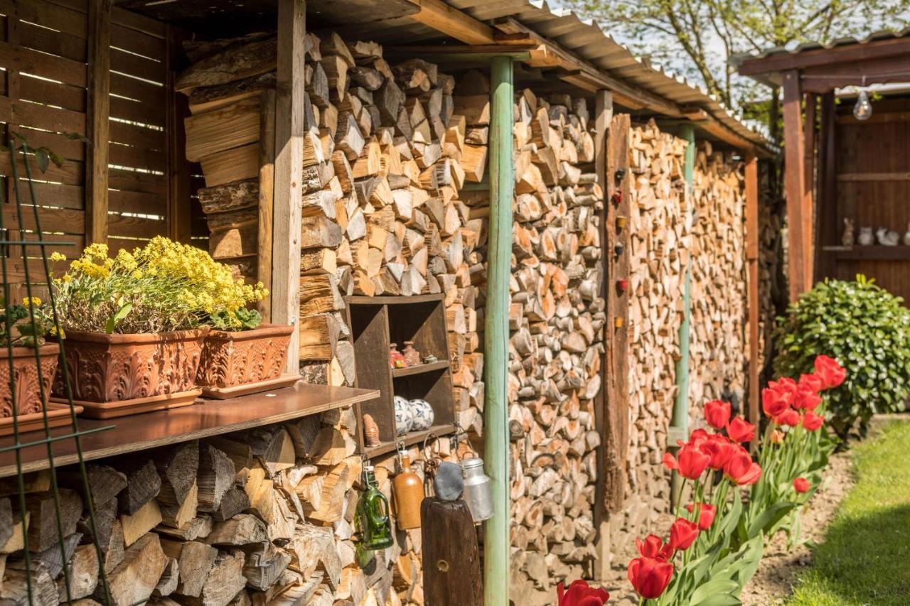 Haus Schneider Διαμέρισμα Kressbronn am Bodensee Εξωτερικό φωτογραφία